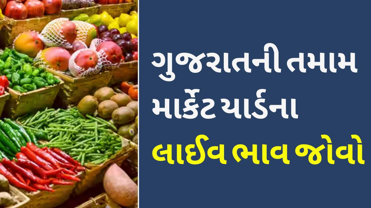 Today Gujarat Market Yard Bhav